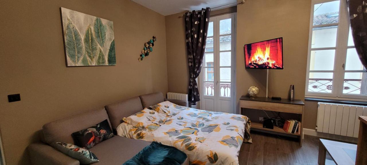 Appartement Le Moulin Vert 卡尔卡松 外观 照片