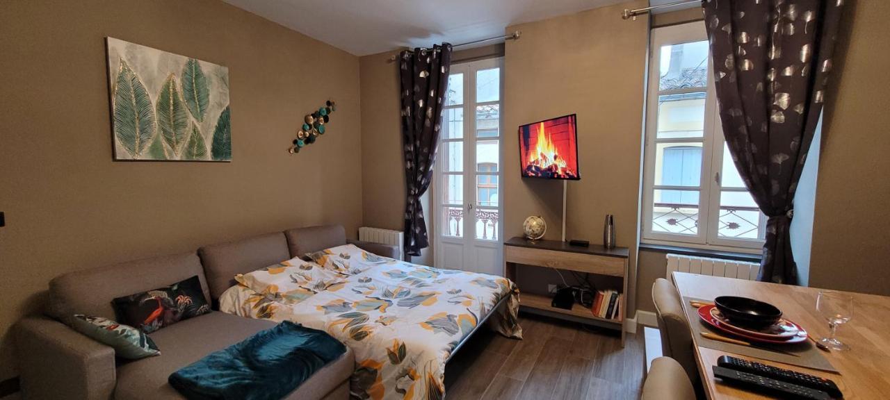 Appartement Le Moulin Vert 卡尔卡松 外观 照片